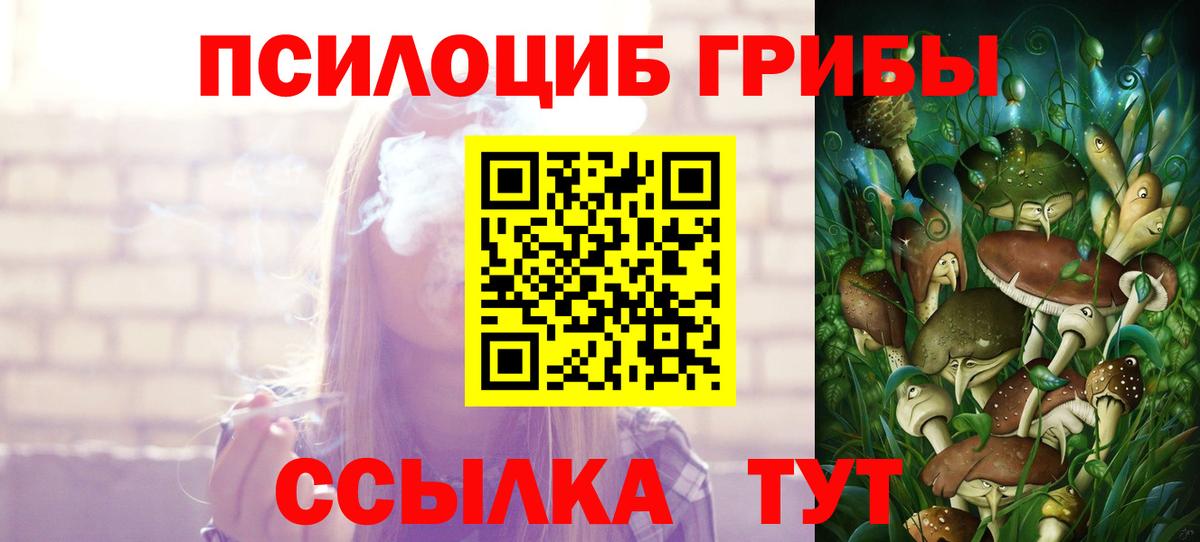 Ивантеевка  Псилоцибиновые грибы Cubensis  Вход с VPN  Галлюциногенные грибы ЛСД 