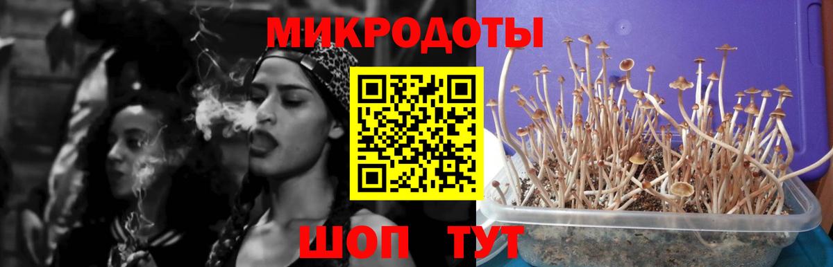 Псилоцибиновые грибы Magic Shrooms Ивантеевка